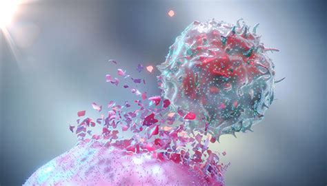 Pc Cars Are A New Class Of Engineered T Cells That Open The Door To