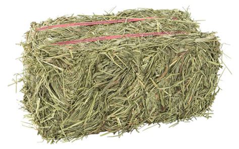 Timothy Mix Hay Bale Smithland