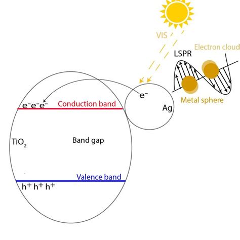 Schematic Representation Of The Surface Plasmon Resonance Spr Effect Download Scientific