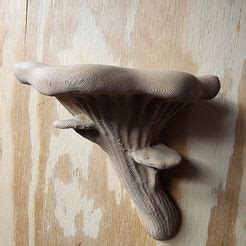 3D Print Wall Shelf Oyster Fungus Made With Ender 3 S1Cults