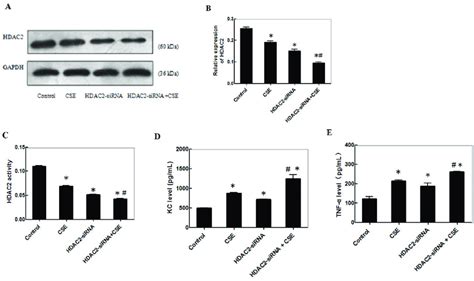 Cse Reduces Thehdac Expression And Enhances Inflammatory Cytokine