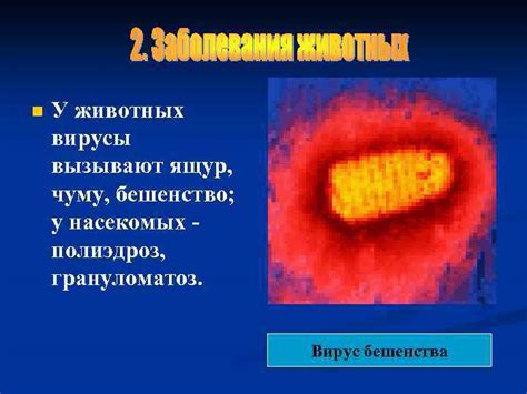 Подпишите что обозначено на рисунках Прокомментируйте рисунки