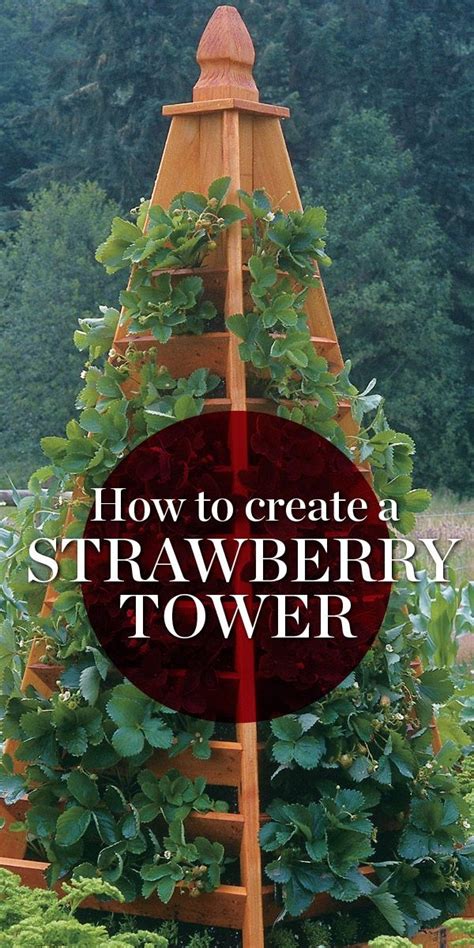 How To Build A Strawberry Tower Artofit