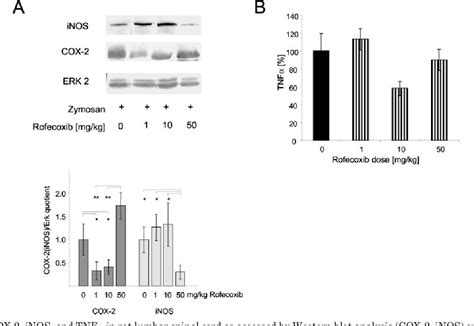 Figure From Opposite Effects Of Rofecoxib On Nuclear Factor Cid