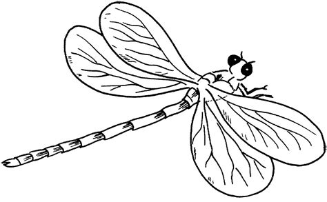 Free Printable Dragonfly Coloring Pages For Kids Animal Place