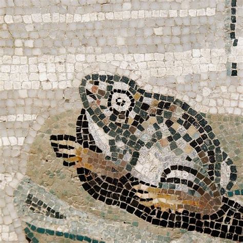 17 Best images about Pompeii Mosaics on Pinterest | Mosaic floors, Italy and Naples