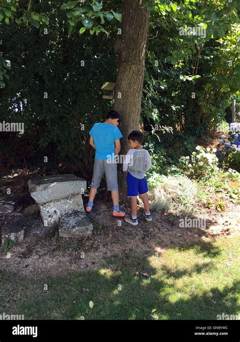 2 Ragazzi Peeing Contro Un Albero In Un Parco Foto Stock Alamy