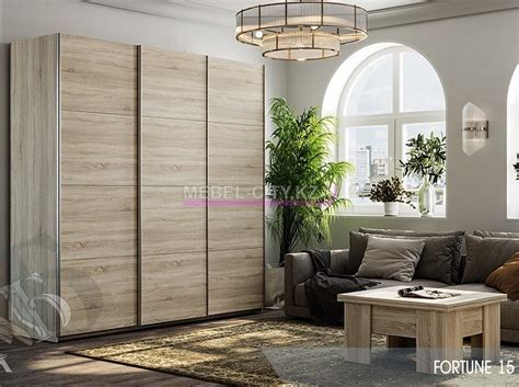 Шкаф-купе «Фортуна 15» 2,4м - mebel-city.kz