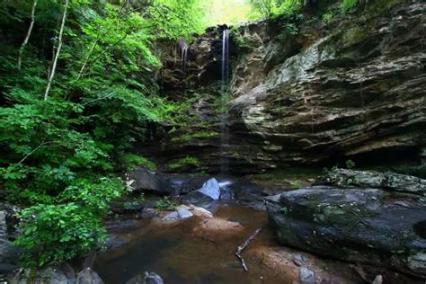 Talladega National Forest Camping Guide - Beyond The Tent