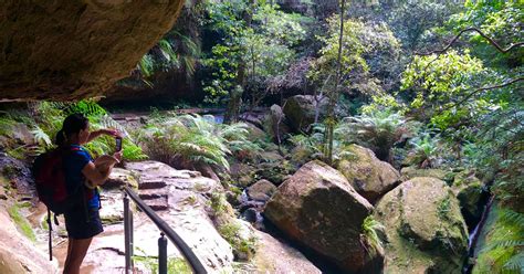 Grand Canyon Track 65km Blue Mountains National Park Nsw