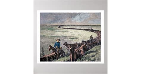 Longhorn Cattle Drive From Texas To Abilene Kansa Poster Zazzle