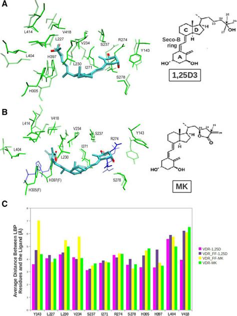 Molecular Dynamics Of Ligand Binding Pocket A Comparison