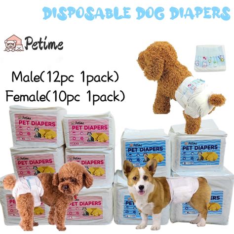 What Are Dog Diapers For