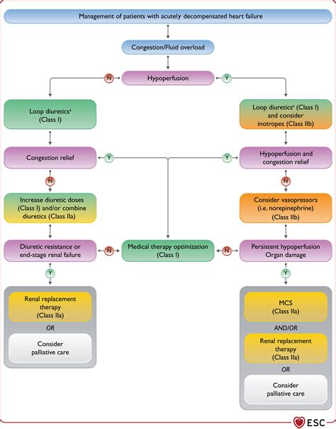 2021 ESC Guidelines For The Diagnosis And Treatment Of Acute And