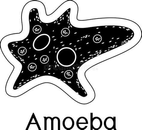 Amoeba Proteus Microbe Stock Vector Illustration Of Microorganism