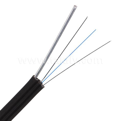 Core Ftth Armored Armoured Self Support Fiber Optic Optical