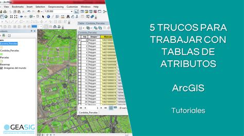 Trucos De Arcgis Para Tablas De Atributos Geasig