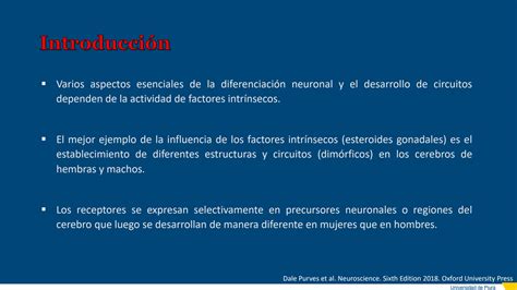 SOLUTION 9 El Desarrollo De Las Redes Neuronales Factores Intr Nsecos