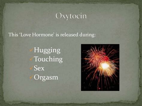 Oxytocin The Love Hormone