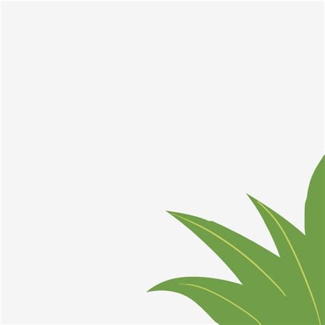 Free Illustration White Transparent Green Plant Free Illustration