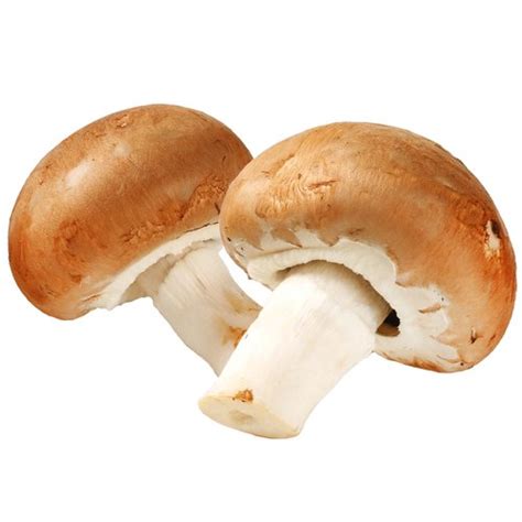 Baby Bella Mushrooms Foodland