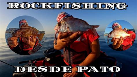 Rockfishing Desde Pato Pescando Con El Alien Y El Curly Hart Jornada