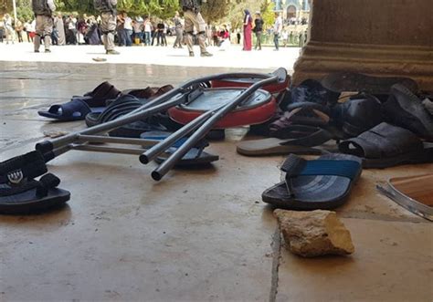 Musulmanes Organizan Disturbios En El Monte Del Templo Durante El “día De Jerusalén”