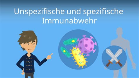 Granulozyten Definition Arten Normwerte Mit Video