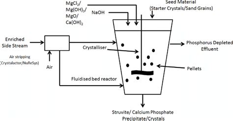 2 Generalised Overview Of Phosphorus Recovery From Side Stream Liquid