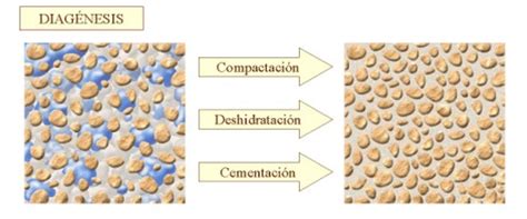 M Todos De La Ciencia Taller De Ciencias De Eso Del Ies Miguel