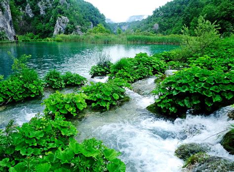 INFO-CAM | Галерея : Плитвицкие озёра. Plitvice Lakes. 17.