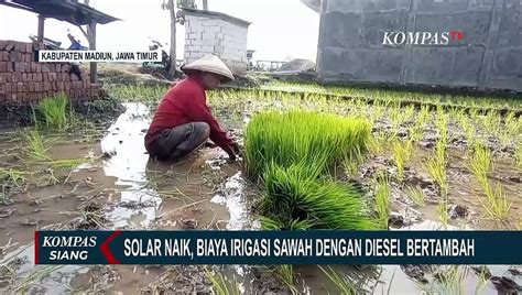 Dampak BBM Naik Petani Di Madiun Keluhkan Ongkos Solar Yang Tinggi