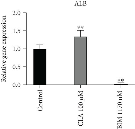 HNF4α induction resulted in improved hepatocytic differentiation of ... 