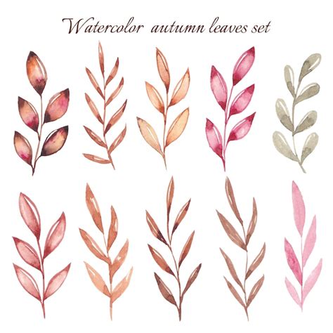 Aquarell Herbst Hand zeichnen Blätter Premium Vektor