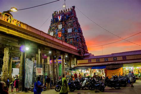 10+ Parthasarathy Temple Stock Photos, Pictures & Royalty-Free Images ...