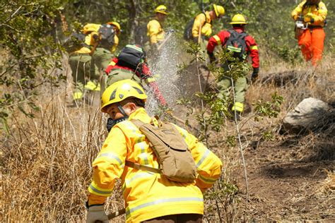 M S De Brigadistas De Cmpc Combaten Incendios Forestales Rurales En