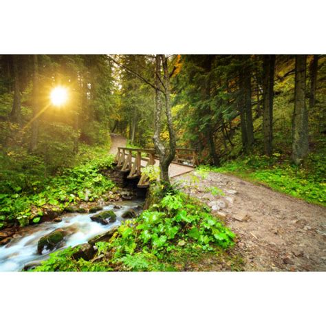 Alpen Home Bergwald Im Sonnenuntergang Von Konradlew Leinwandbild