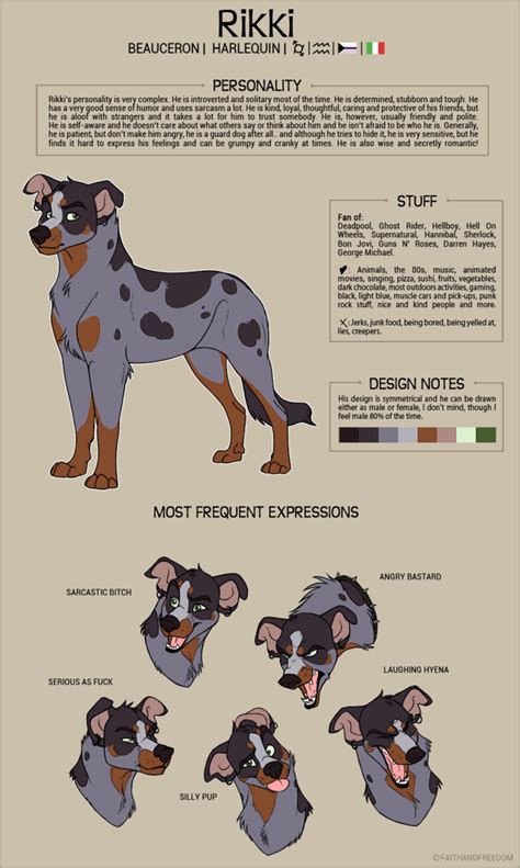 Rikki Character Sheet By Faithandfreedom Dog Design Art Canine Art