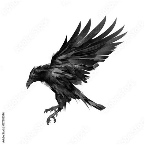 drawing a sketch of a flying black crow on a white background in 2024 ...