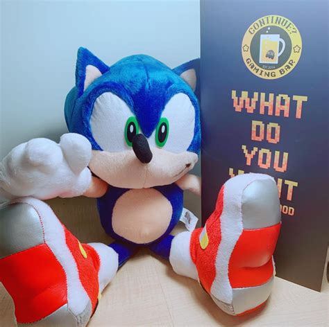 Sonic Adventure 2: Soap Shoes Sonic Plush Unboxing | atelier-yuwa.ciao.jp