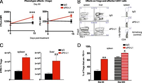 Pd L1 Blockade Also Activates Treg Responses A Expression Of Ctla 4 Download Scientific