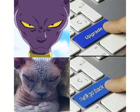 10 Funniest Beerus Memes That Make Us Laugh