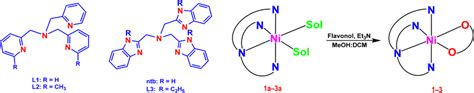 Chemical Structures Of The Ligands L1 L2 And L3 And Their Niii Download Scientific Diagram