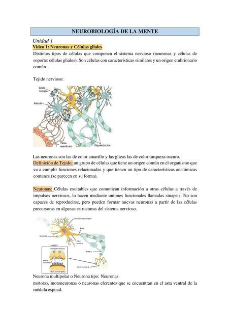 Neurobiología de la Mente Paulina Peri uDocz