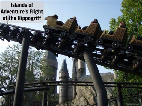 Flight of the Hippogriff | The Wizarding World of Harry Potter