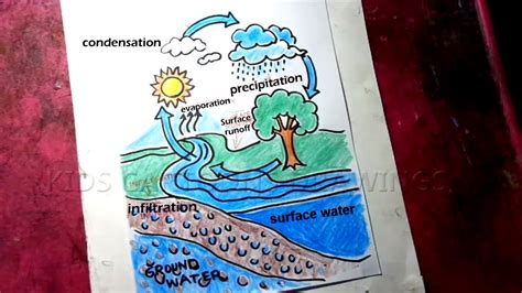 How To Draw Water Cycle Poster Drawing Step By Step Youtube