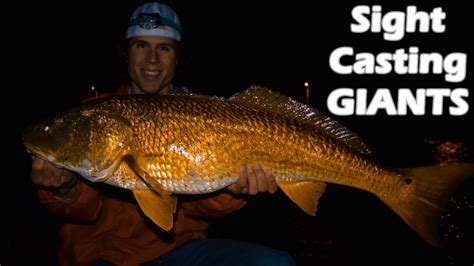 Kayak Fishing Sightcasting Giant Bull Redfish Insane Action Youtube