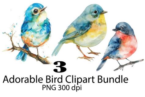 Watercolor Birds Clipart Bundle Birds Graphic By Print Market Designs
