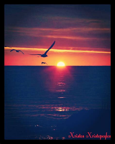 A Magical Sunset 🌇 On The Beach 🌊 With Flying Birds 🐦 🐦 🐦 🐦 👌☺💖 Beach