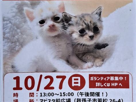 【我孫子市】1027は、湖北駅南口に集合！5年振りに「湖北サンバ」として復活します！フリマ参加者も募集していますよ 号外net 我孫子市